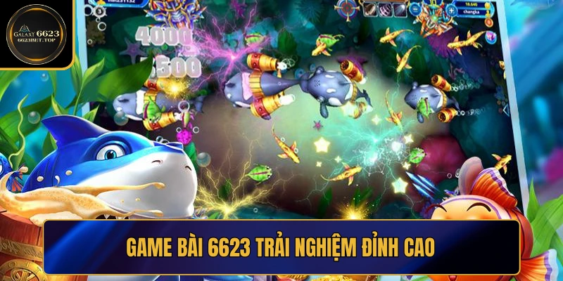 Bắn Cá Xèng