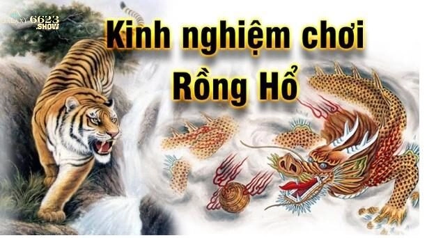 Luật - cách chơi Rồng Hổ